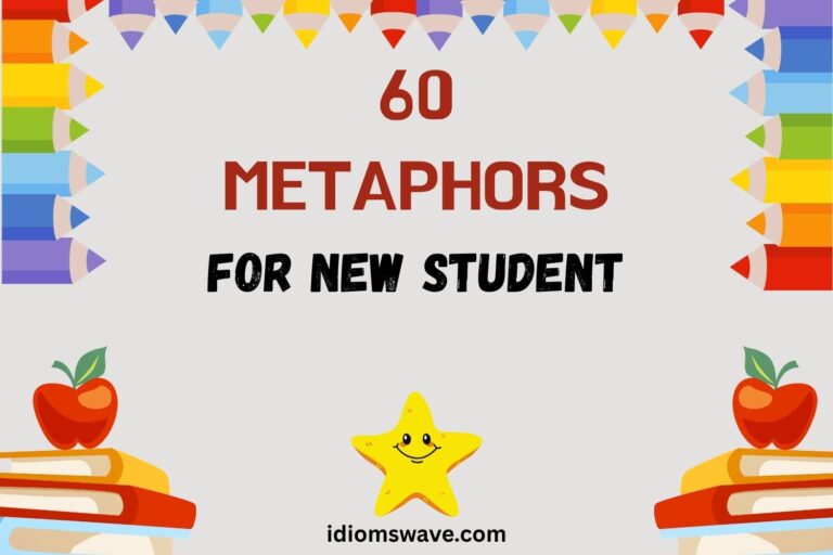 metaphors for new student